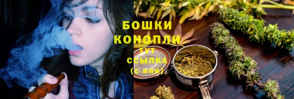 наркотики Бородино