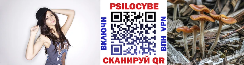 закладки  мориарти наркотические препараты  Псилоцибиновые грибы GOLDEN TEACHER  Мещовск  omg ONION 